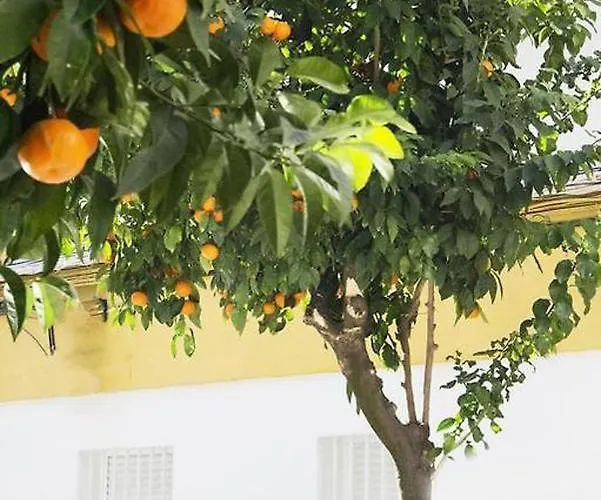 Appartement Costasol Cordoue