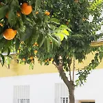 Appartement Costasol Cordoue