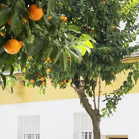 Appartamento Costasol Cordova
